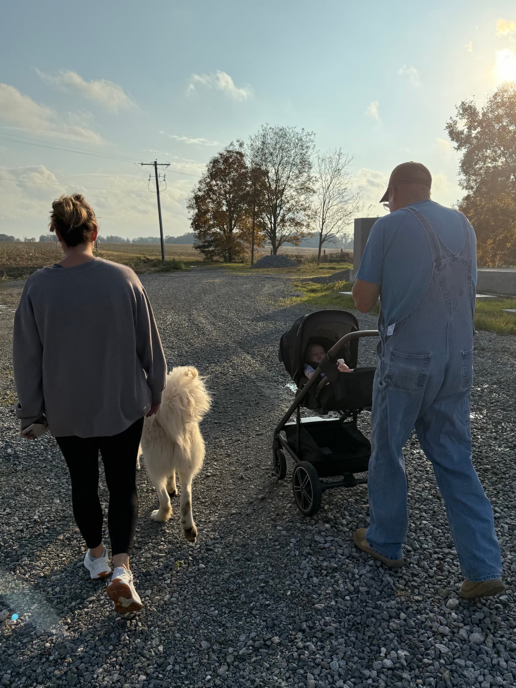 Family members walking a farm road with a child and dog