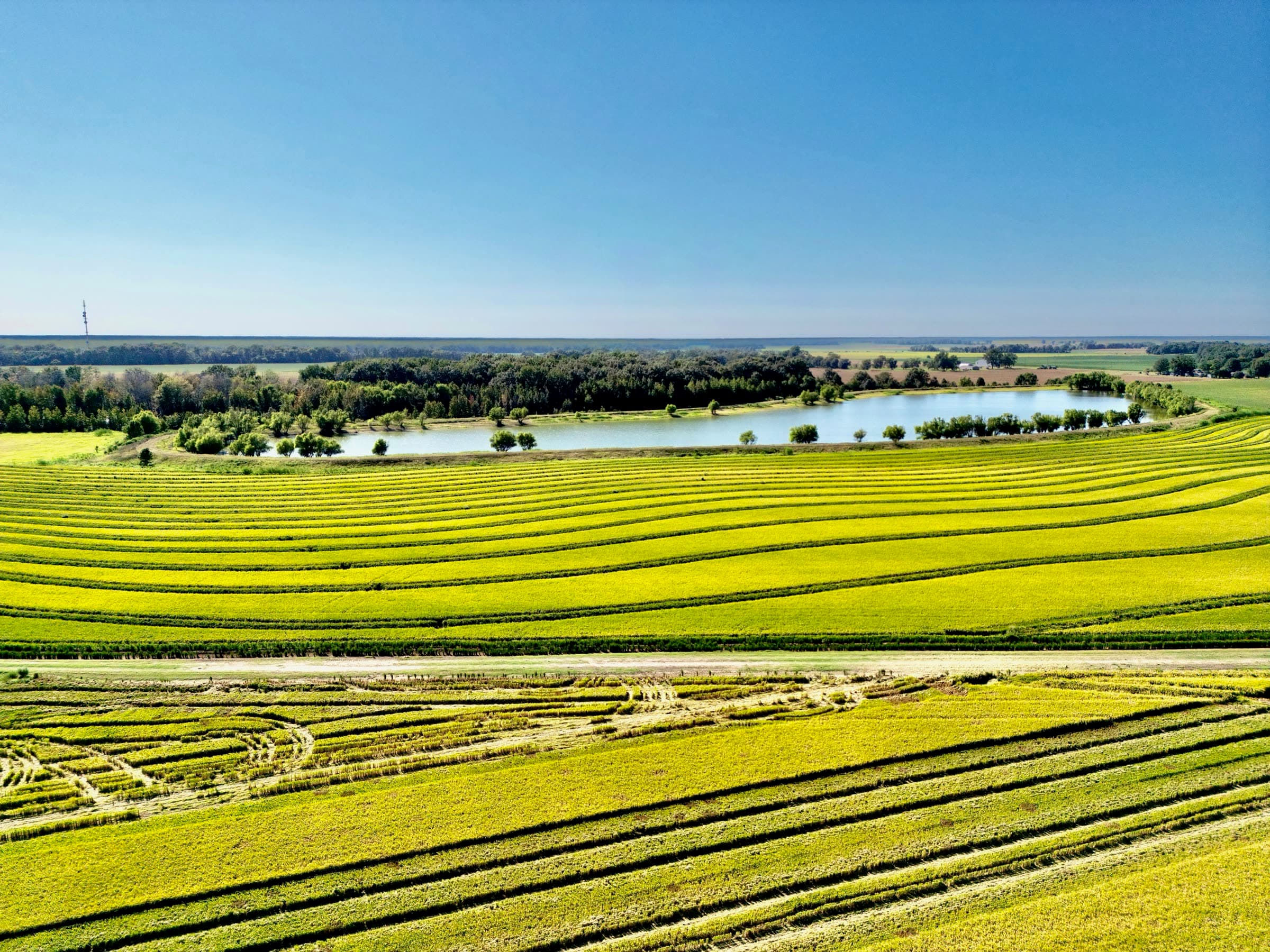 Aerial view across planted Arkansas fields and water