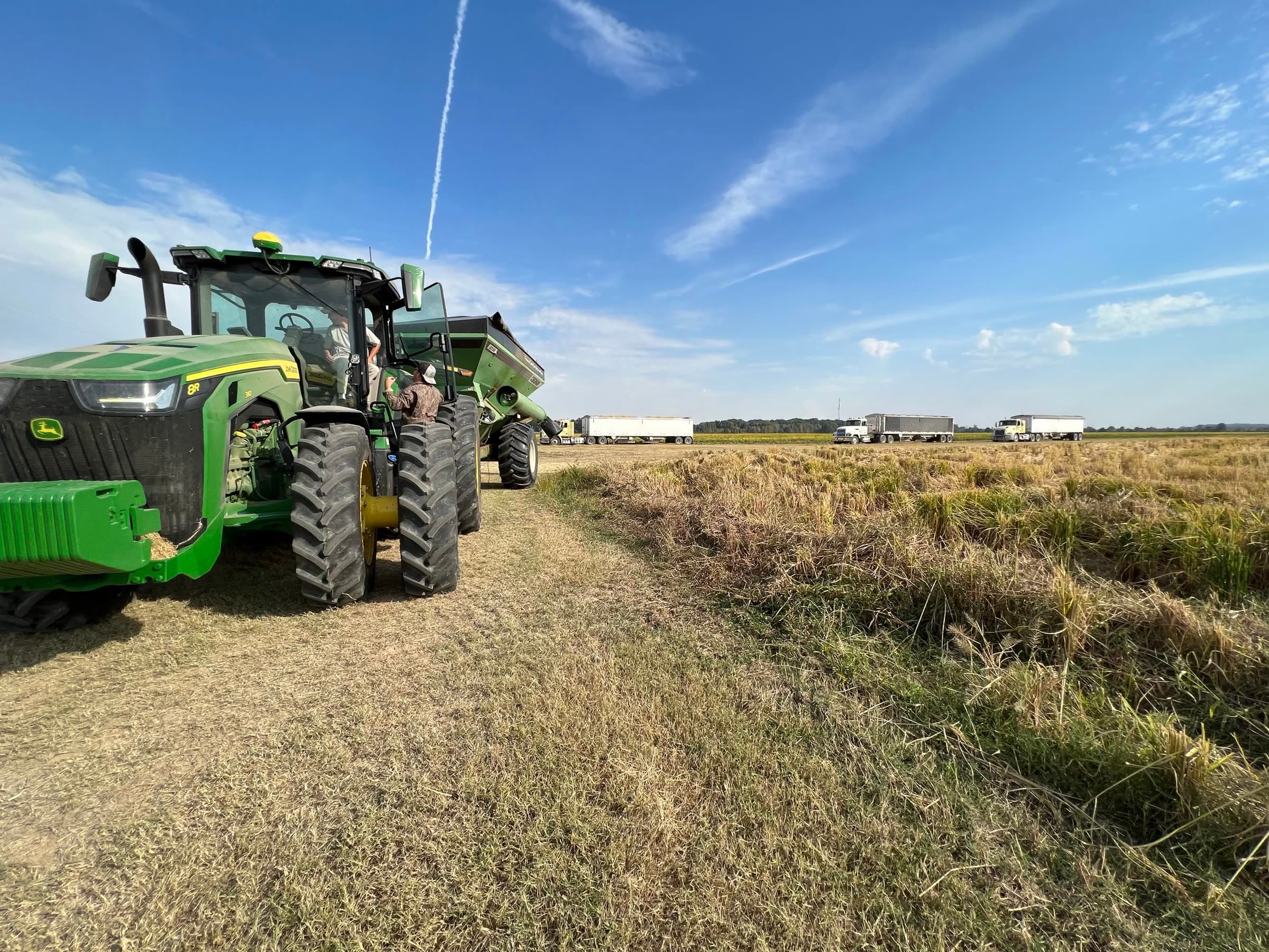 Harvest equipment and trucks working across a cut Arkansas field